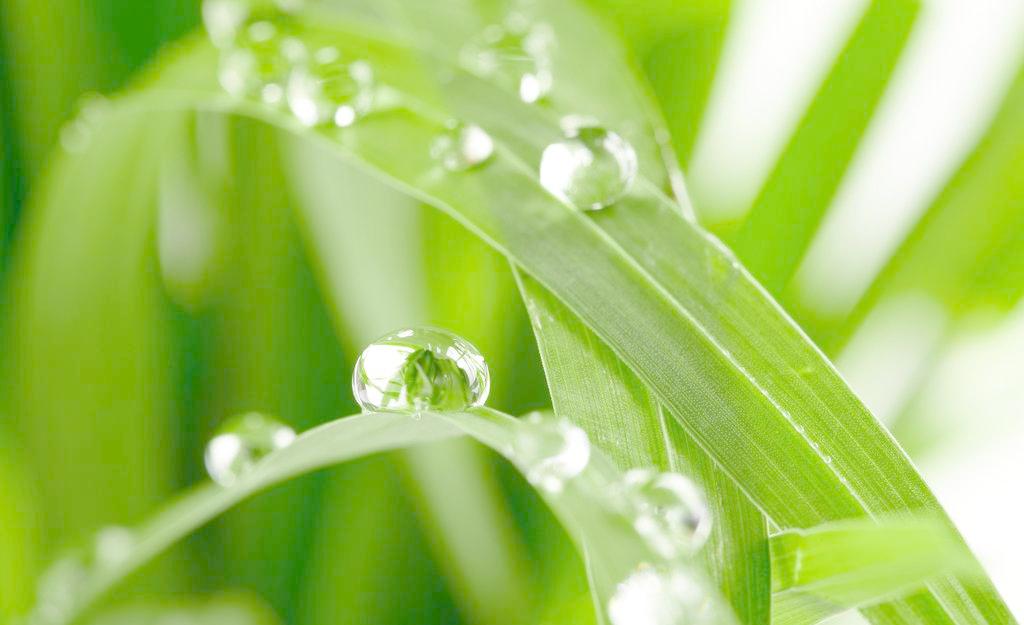 雨水收集必须要考虑的地方