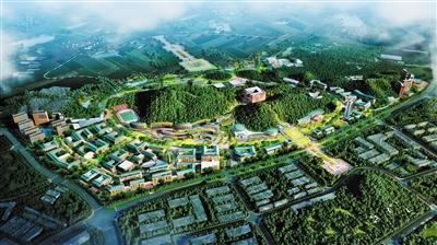 中山大学